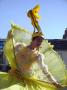gal/Suite_Tour_de_France_2006/_thb_Tour de France 2006 722.jpg